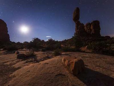 Frida Deserved Better Than Diego’s Coconut