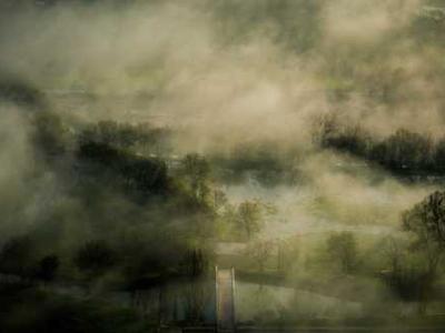 A silent ocean pandemic is wiping out sea urchins worldwide