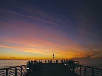 Trump could introduce ‘mandatory’ social media reviews for travelers