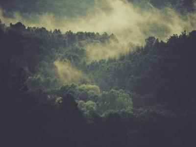 xAI partners with El Salvador to deploy Grok across 5,000+ public schools, reaching 1M+ students in an 