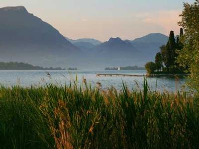 Natural hormone unlocks a hidden fat burning switch