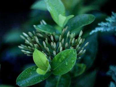 Why ultra-processed foods make teens eat more when they aren’t hungry