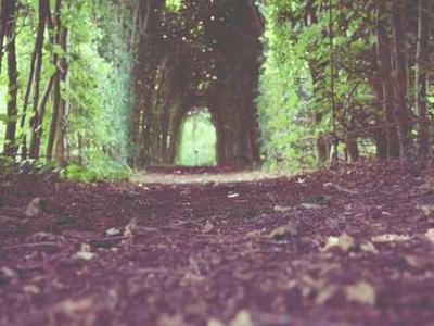 The best smart rings for tracking sleep and health