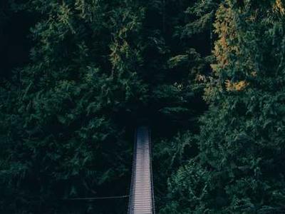 My Tattoo Helped Me Exert Bodily Autonomy, but Its History Is Misogynistic 