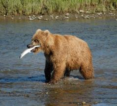 Christopher Martinez