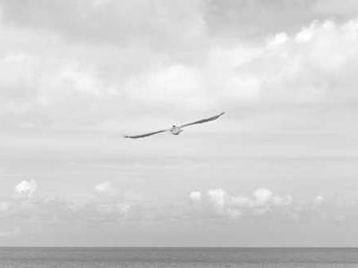 The best smart rings for tracking sleep and health