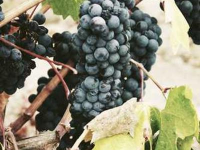 Uranus and Neptune are hiding something big beneath the blue