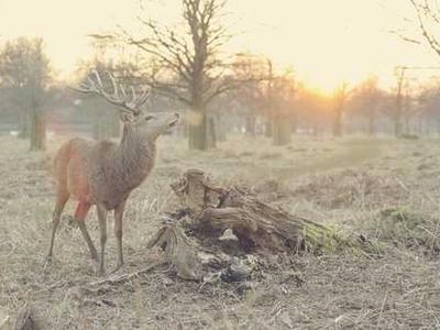 The Best Book Covers of 2025: Round Two