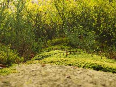 A look at French indie game studio Sandfall Interactive, whose critically-acclaimed Clair Obscur: Expedition 33 sold 5M+ copies with a budget of less than $10M (Zachary Small/New York Times)