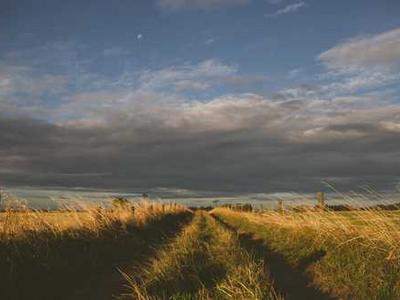 That Personalized Email About Loving and Marketing Your Book Is a Scam